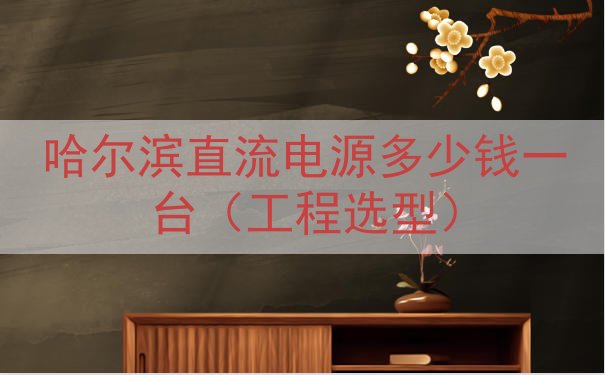 哈尔滨直流电源多少钱一台（工程选型）